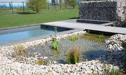 Bassin naturel