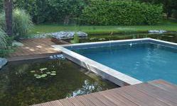 Bassin naturel