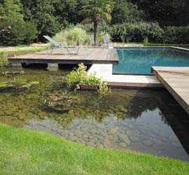 Piscine naturelle et eau traitée